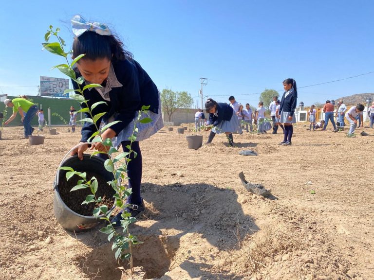 PARTICIPA EN LA PRIMERA REFORESTACIÓN MASIVA DEL AÑO ESTE SÁBADO EN EL PARQUE RODOLFO LANDEROS