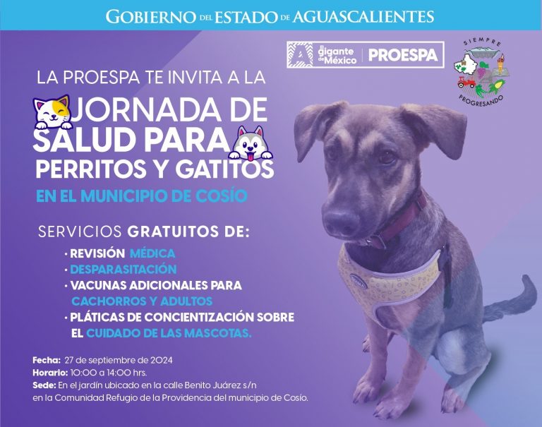 ESTE VIERNES LLEGAN SERVICIOS VETERINARIOS GRATUITOS HASTA REFUGIO DE LA PROVIDENCIA, EN COSÍO