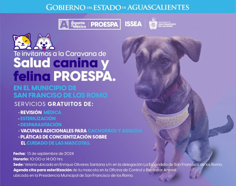 ESTE VIERNES, SERVICIOS VETERINARIOS GRATUITOS EN LA COMUNIDAD LA ESCONDIDA, EN SAN PANCHO