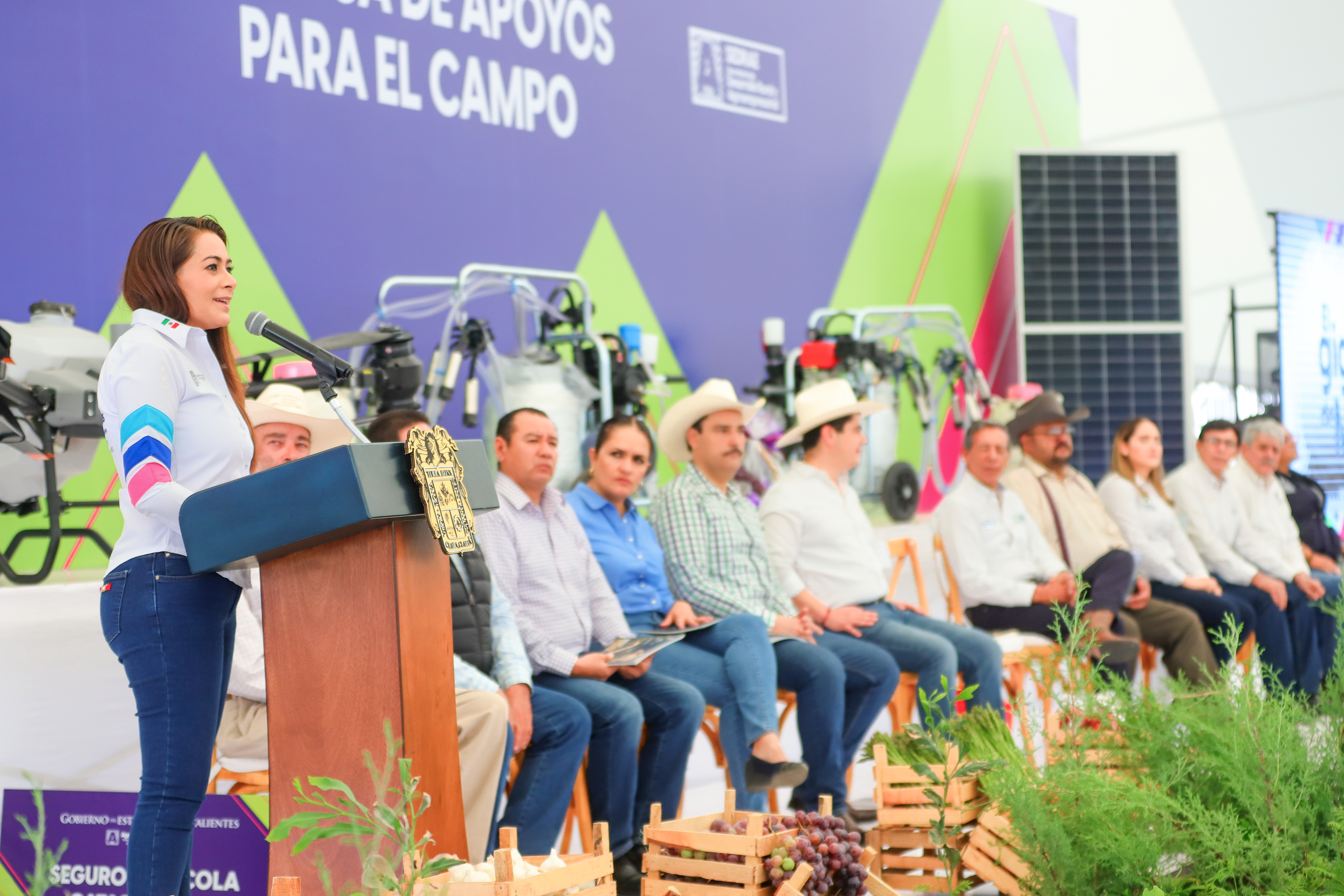 EN AGUASCALIENTES, EL CAMPO ES GIGANTE